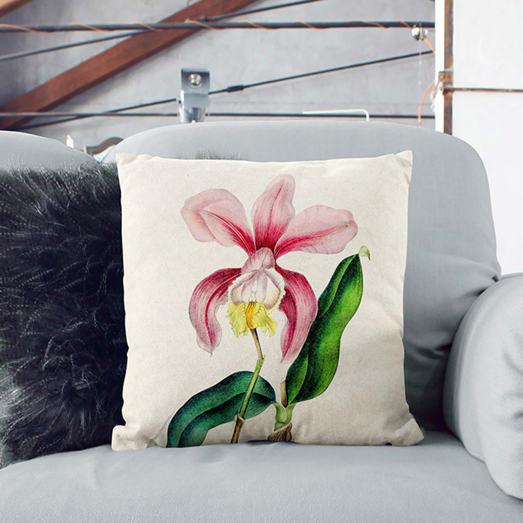 Illustration of a Pink Cattleya Orchid Cushion with Filling