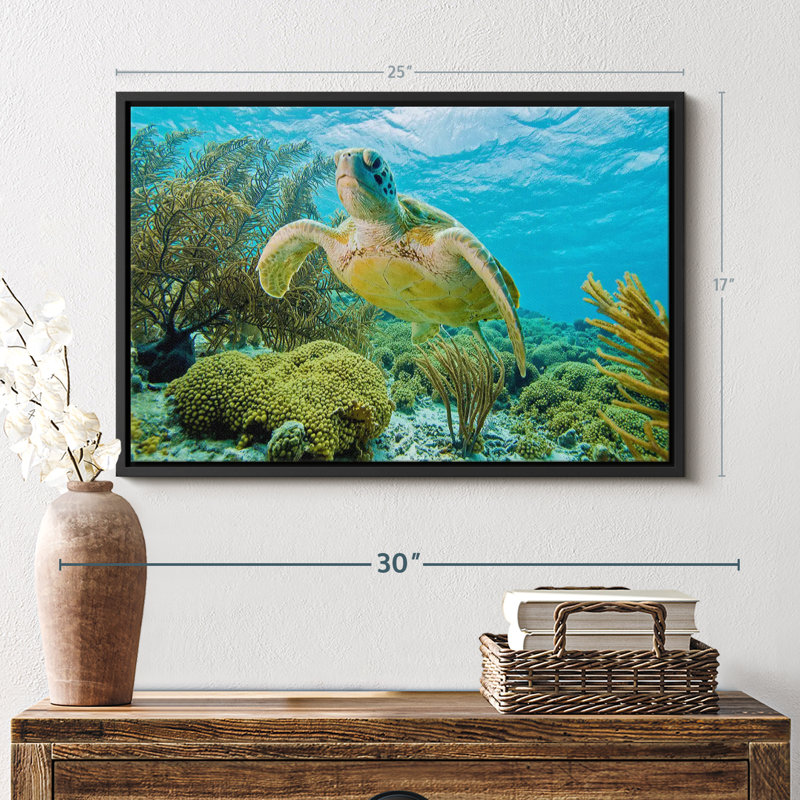 «Turtle In Bonaire Reef», reproduction sur toile, H 17 po x l 25 po
