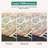 Oriental Indoor Rug-17771816