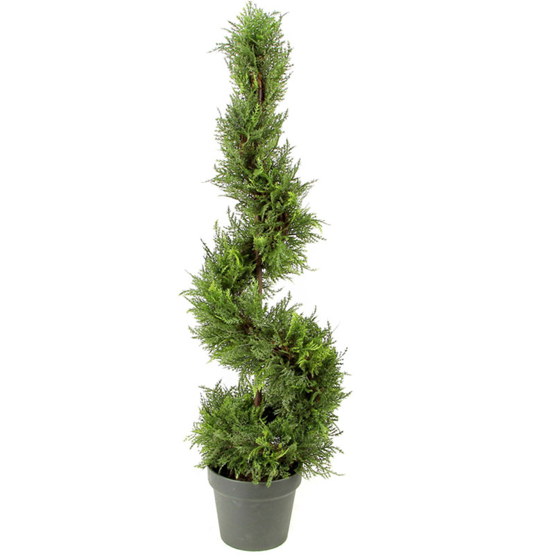 Topiaire cypress leave spirale dans un panier