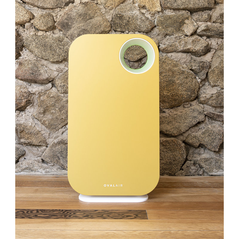 Couvercle de purificateur d'air