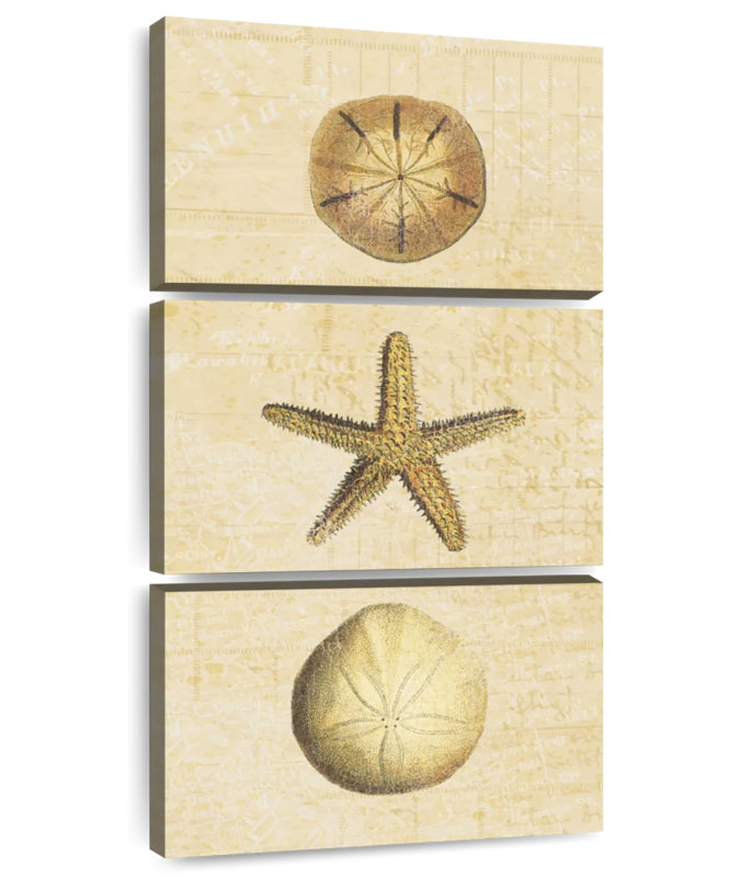 Coquillages au bord de mer, H 38 po x l 18 po