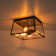 3 - Light Geometric Trapezoid Rectangular Clear Glass Flush Mount
