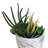 7.75" Artificial Succulent in Planter