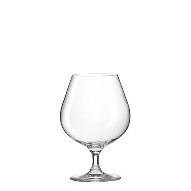 RONA Gala 10 oz. Wine Glass & Reviews