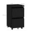 Starkville 2 Drawer Filing Cabinet