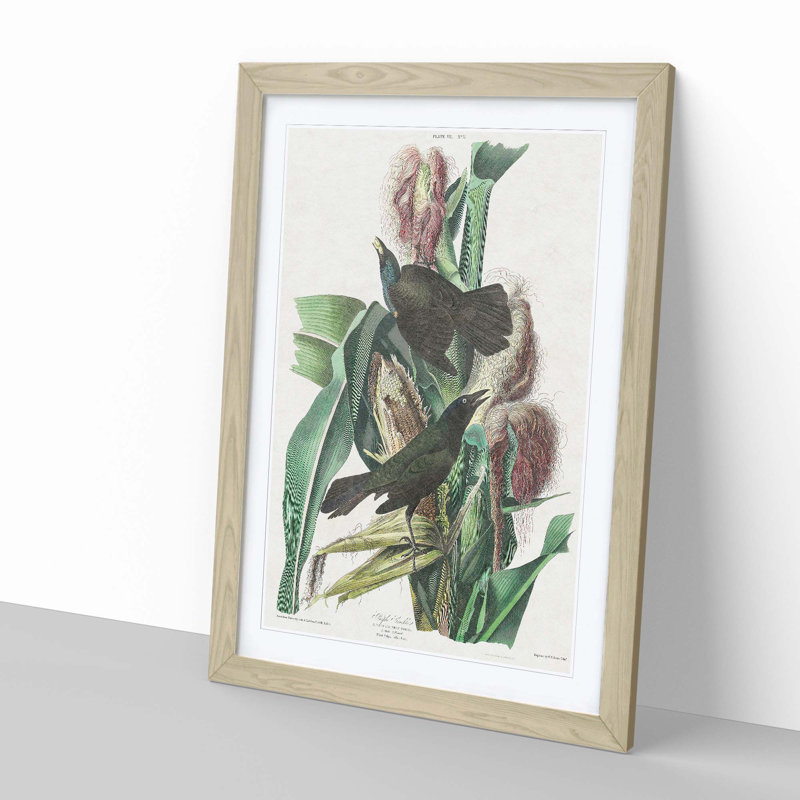 Common Crow Blackbird by John Audubon - Picture Frame Painting, 65cm H x 48cm W x 2cm D, Oak Framed