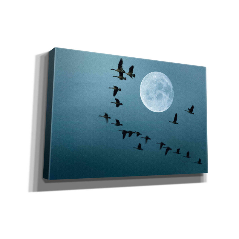 Epic Graffiti 'Fly Away' By Ata Alishahi, Giclee C " Fly Away " by Ata Alishahi