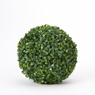 Topiaire buis ball plante