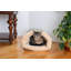 Lit pour chat spécialisé-6347875
