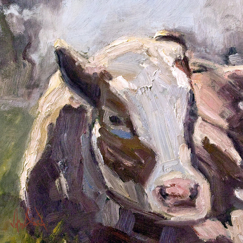 Moo Moo III By John Beard - Gallery Wrapped Canvas Print, Wrapped Canvas
