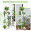 Plant Stand-895533886