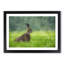 Lone Hare - Picture Frame Painting Print-56633562-56633568