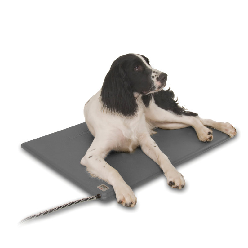 Tapis / coussin Deluxe Lectro-Kennel, Petit (l 12,5 po x P 18,5 po x H 0,5 po)