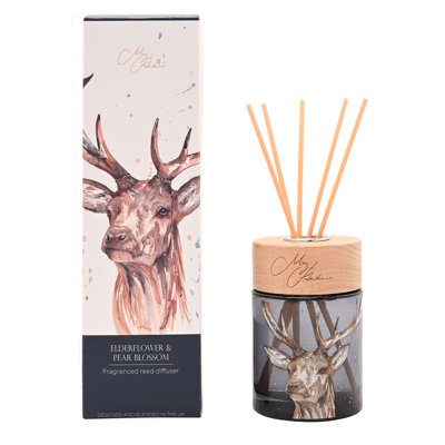 Fruity Reed Diffusers And Sticks