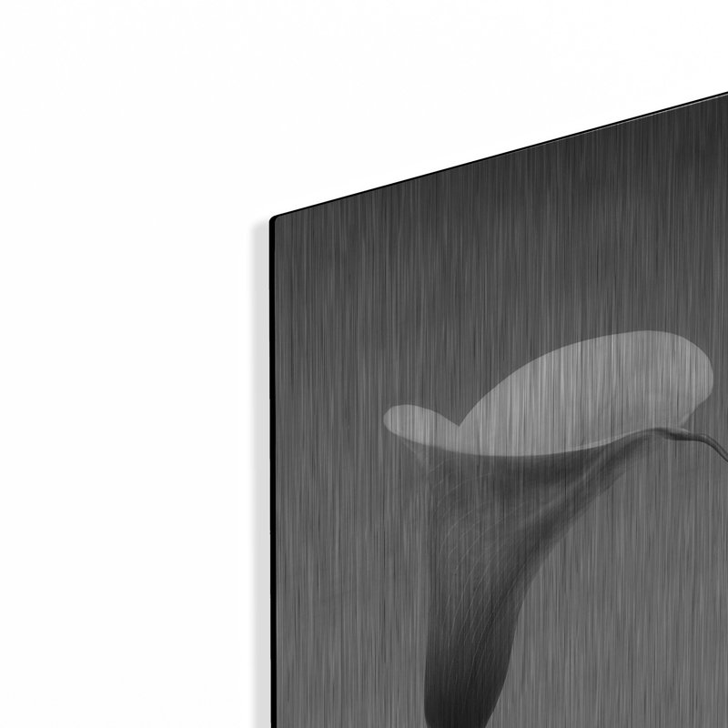 Luxe Métal Art «Calla No. 3» par Photoinc Studio, M «Calla No. 3» par PhotoINC Studio, H 16 po x l 12 po