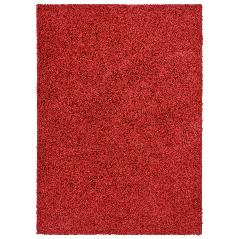 Nattaly Indoor Rug, Rectangle 5' x 7'