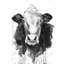 Cow Print On Canvas