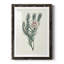Protea N33 - Peinture encadrée-1258477358-1258477359