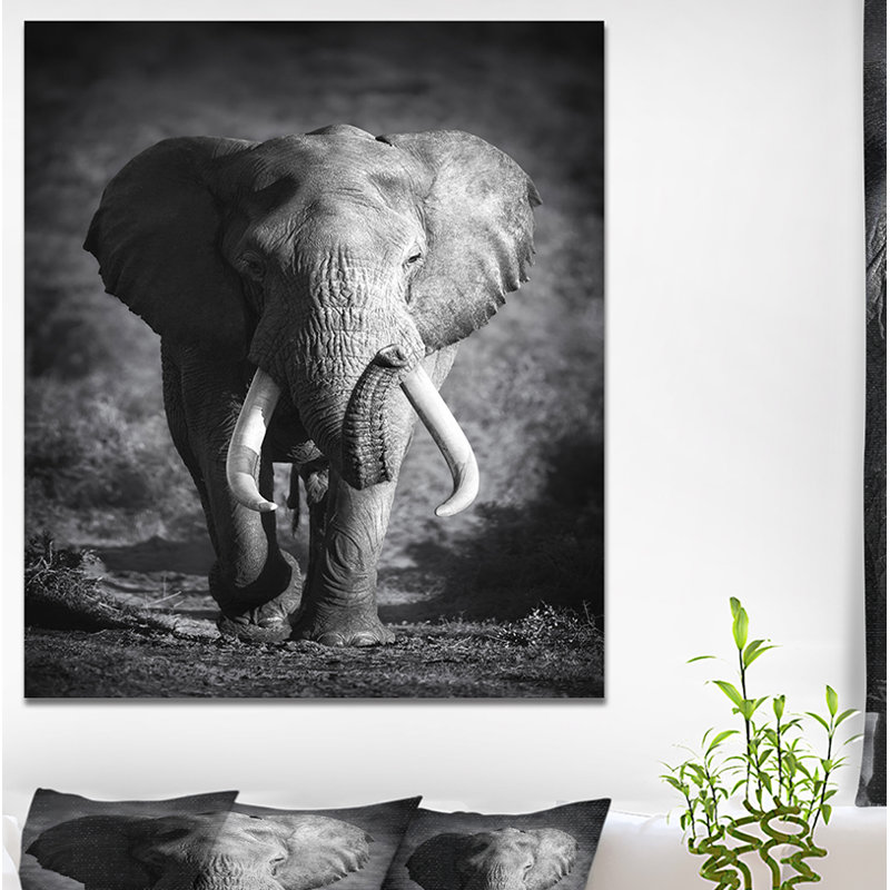 « éléphant bull », reproduction d’impression sur toile tendue, H 40 po x l 30 po x P 1,5 po