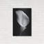 "Lily On Black 02" par Tom Quartermaine-677480995