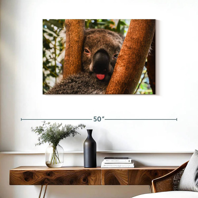 Brampt Funny Koala, 24" H x 36" W