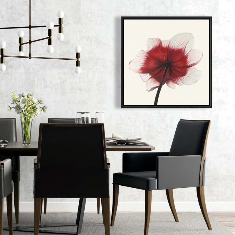 " Anemone Red Flower "