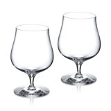 Craft Brew Hybrid Glass