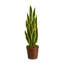 Plante artificielle en panier 34 po