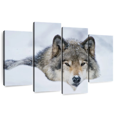Brampt Wolf In Snow