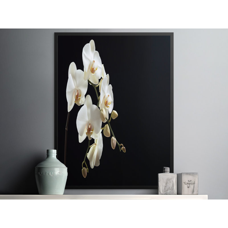 Floral Botanical Matte Poster, 11.7x16.5