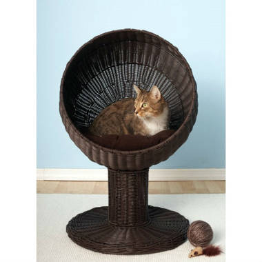 Cat Hut – Bohemianfeline