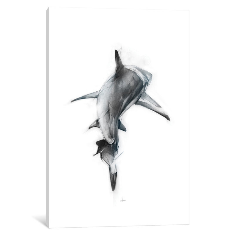 " Shark III " by Alexis Marcou, 12" H x 8" W x 0.75" D, Wrapped Canvas