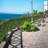 Faux Ivy Hedge-728172715