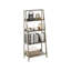 135.9 cm H Ladder Bookcase-1527840144-1527840147