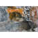 Premium Machine Washable Cerrito AMF503 Orange Rug
