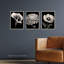 Elegant Striking Poppy Chrysanthemum Calla Lily Floral - 3 Piece No Frame Print Set-2031411779