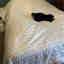 Customer photo 2 of 2