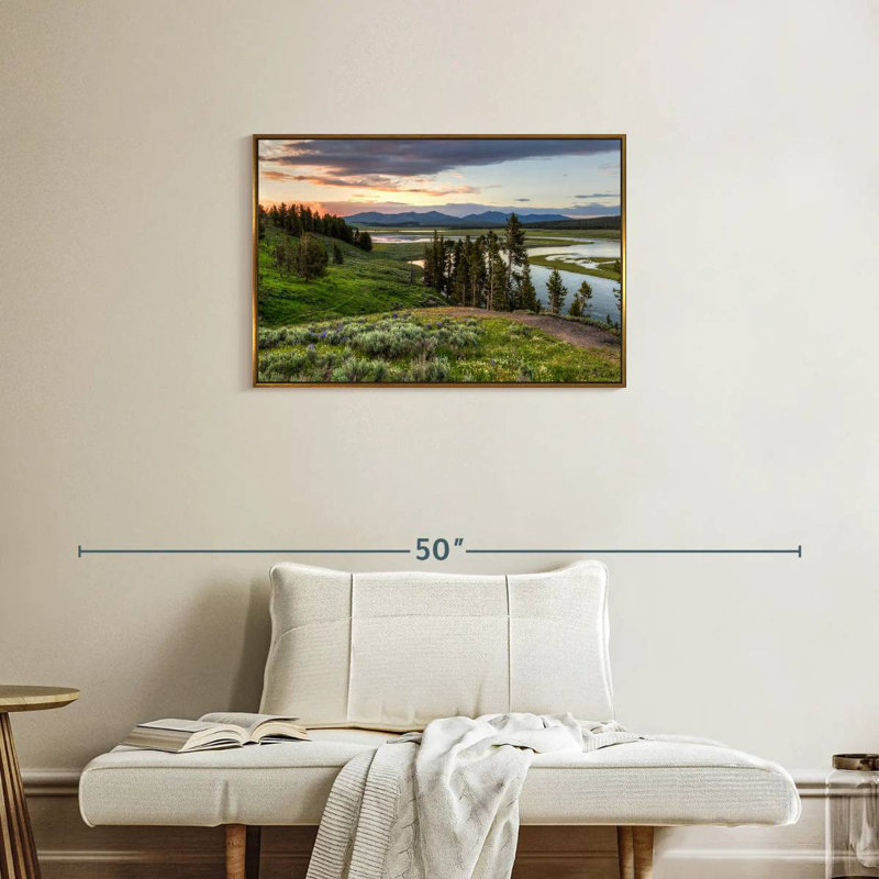 Hayden Valley Hills, Cadre flottant doré, 31 po x 21 po