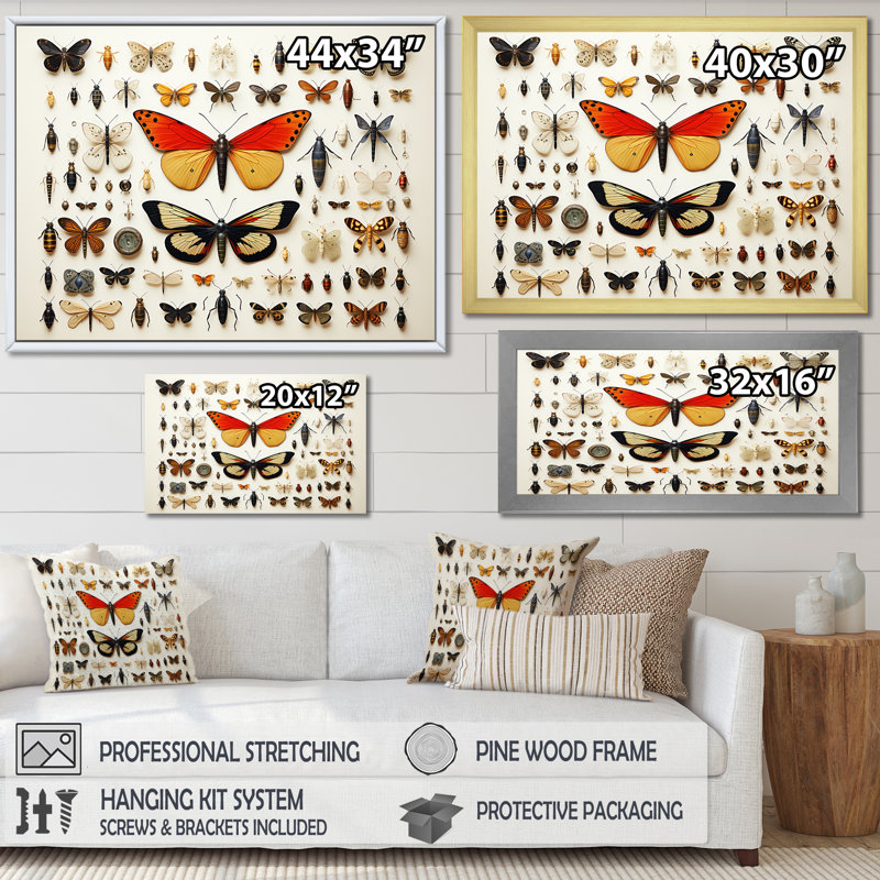 Insectes et insectes oranges - Insectes et insectes muraux, Toile tendue, H 30 po x l 40 po x P 1,5 po