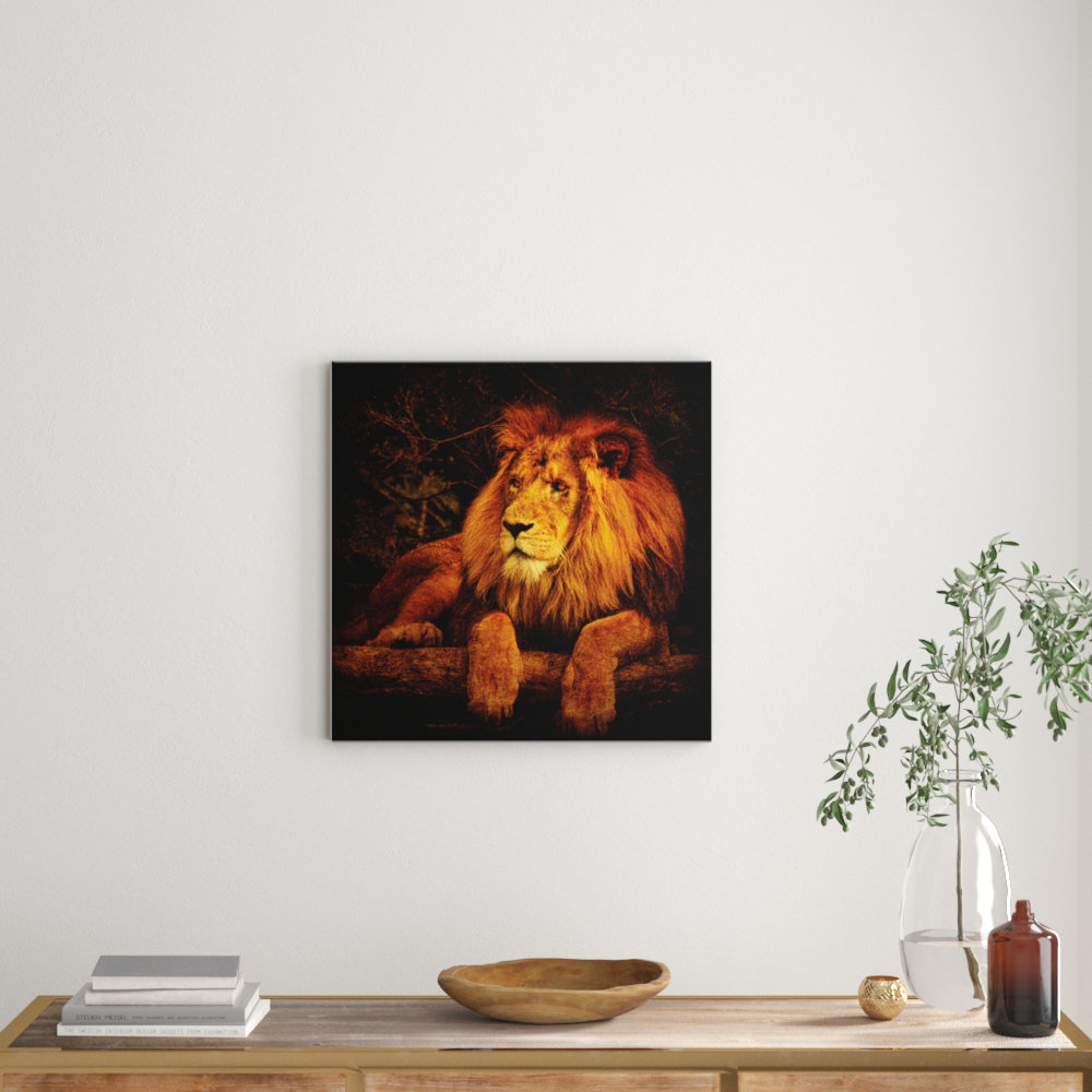 'Pragmatism' by Andrew Paranavitana Photographic Print Wrapped on Canvas