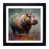 Black selected