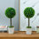 Ensemble de 2 topiaires de buis artificiel en pot