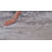 Machine Washable Liam Gray/Beige Rug-578221196