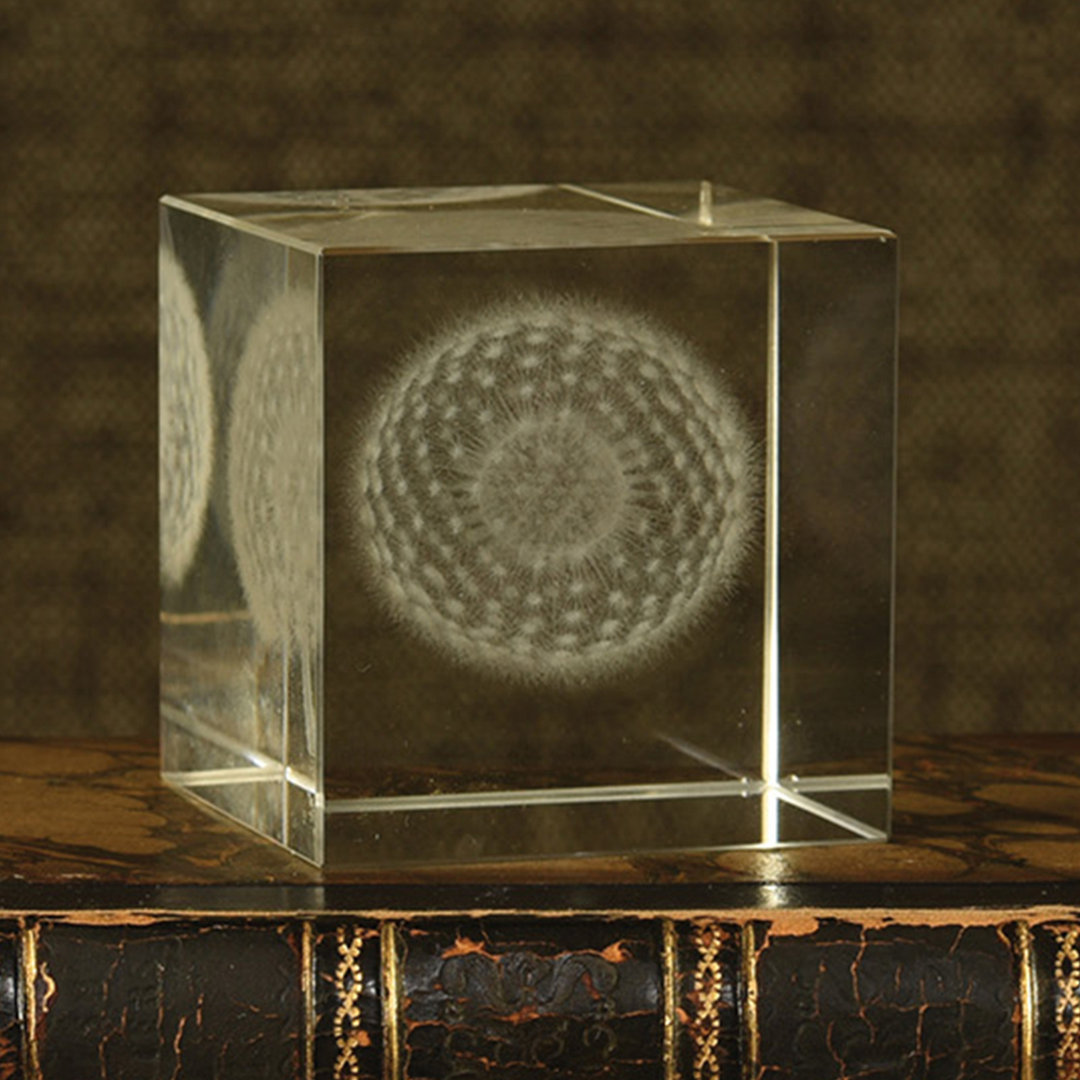 Terry Dandelion Glass Hologram  Winston Porter