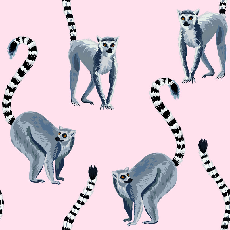 Rouleau de papier peint adhésif Lemur, L 16,67 po x l 25 po