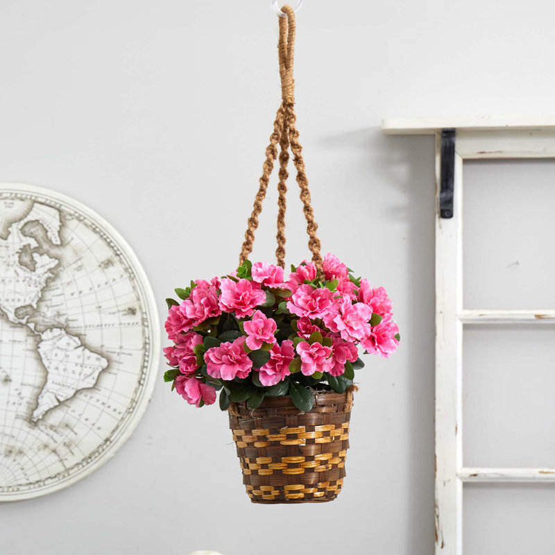 Panier suspendu azalea