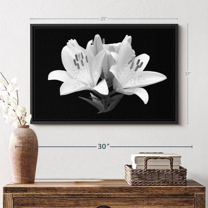 Impression sur toile monochrome Madonna Lily, H 17 po x l 25 po