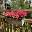 Andropolis Metal Railing Planter-389108481