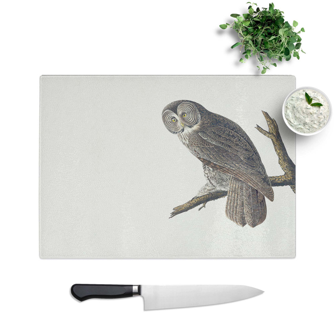 Glass Great Cinereous Owl by John James Audubon Chopping Board